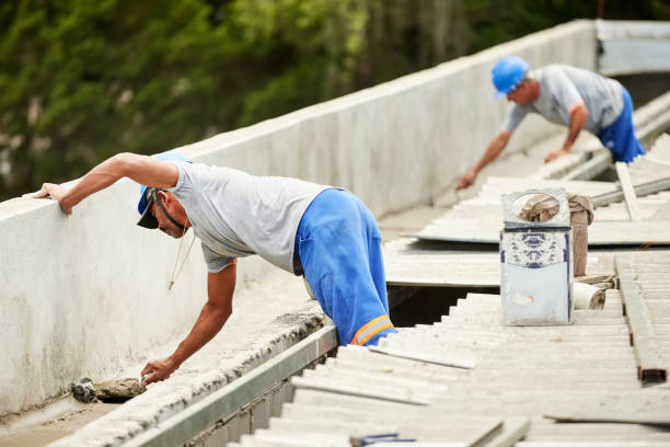 Best Insulation Contractor Near Me  in Elfers, FL