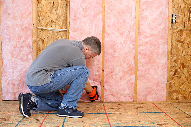 Best Spray Foam Insulation  in Elfers, FL