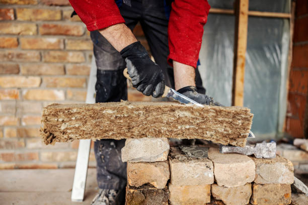 Best Cellulose Insulation  in Elfers, FL